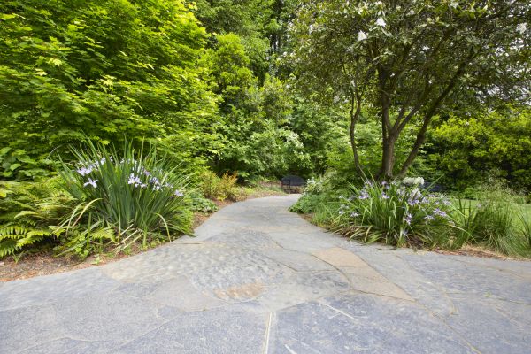 Stone Hardscape Service in Lady Lake